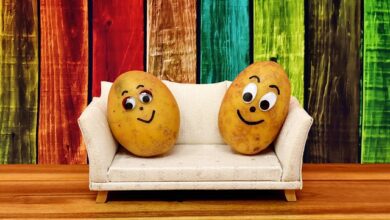 Couch potatoes - food idioms